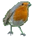 a wren